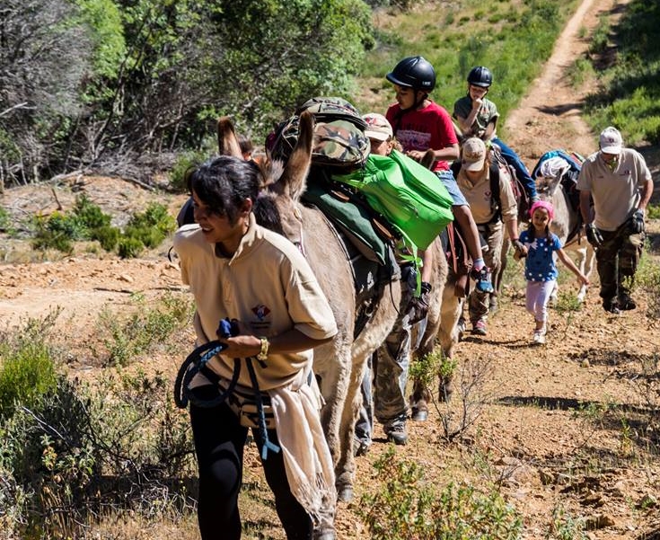 Trekking Someggiato