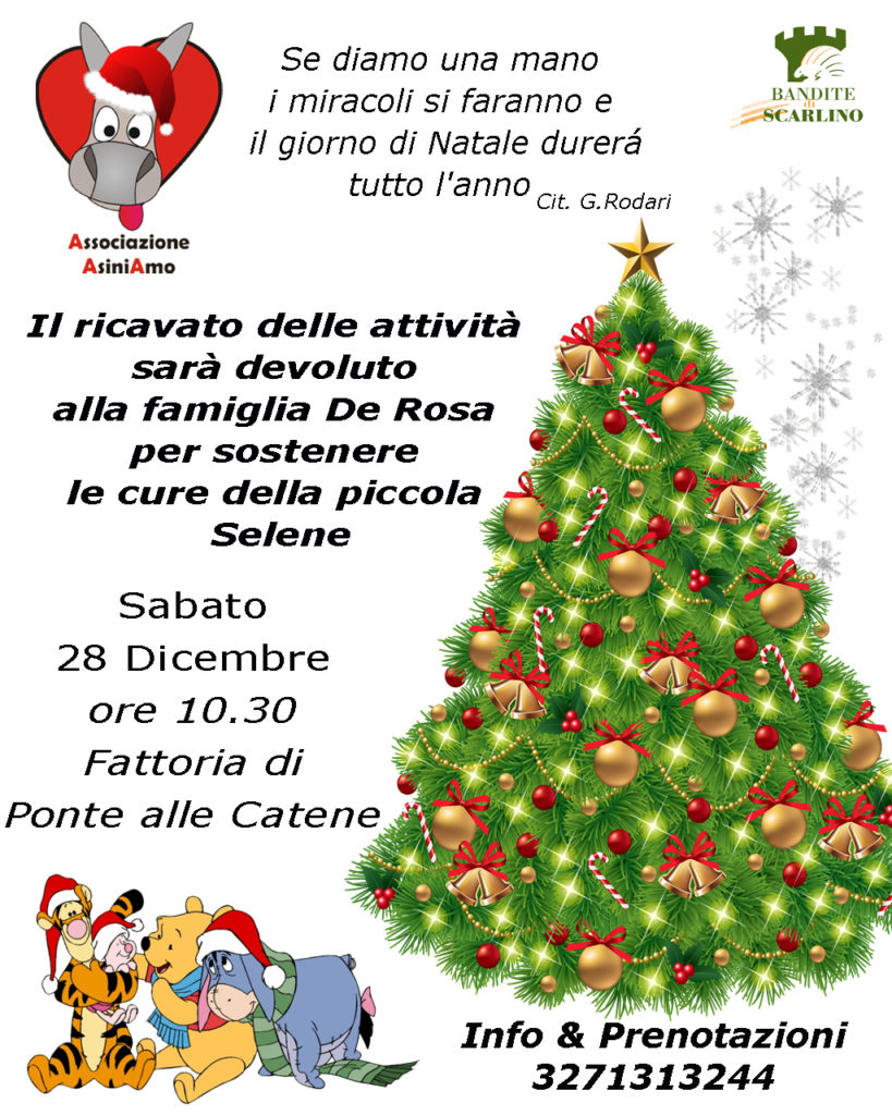 A Natale Puoi Testo.A Natale Puoi Www Asiniamo It